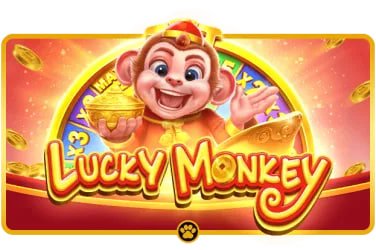 hhbet9